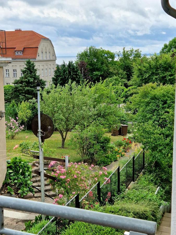 Ferienwohnung Treibholz Sassnitz Eksteriør bilde